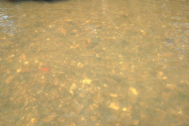 DSC_4326.JPG